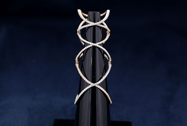 Diamond ring for Rings Segment